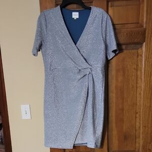 Women's Silver Sparkly Dress